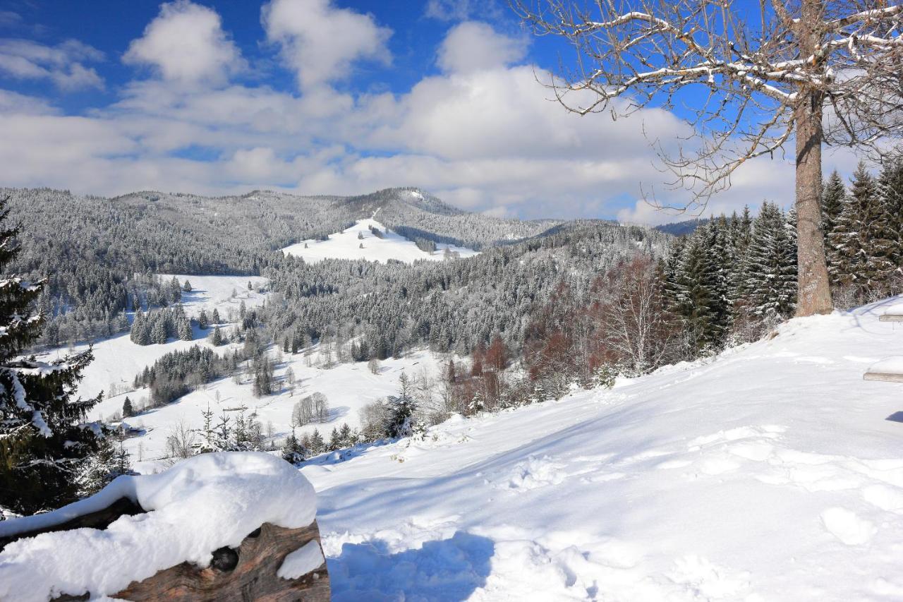 Galeriewohnung In Menzenschwand-Hinterdorf Dış mekan fotoğraf