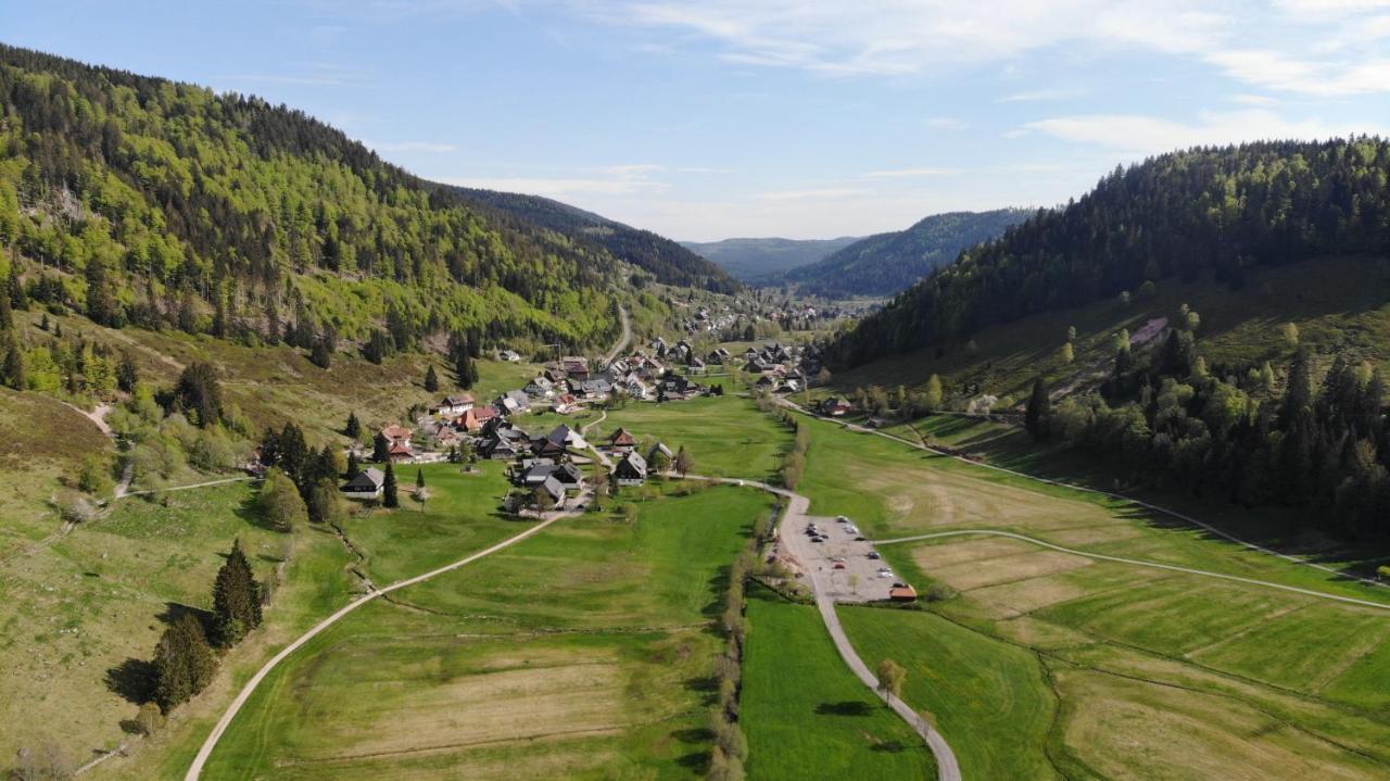 Galeriewohnung In Menzenschwand-Hinterdorf Dış mekan fotoğraf