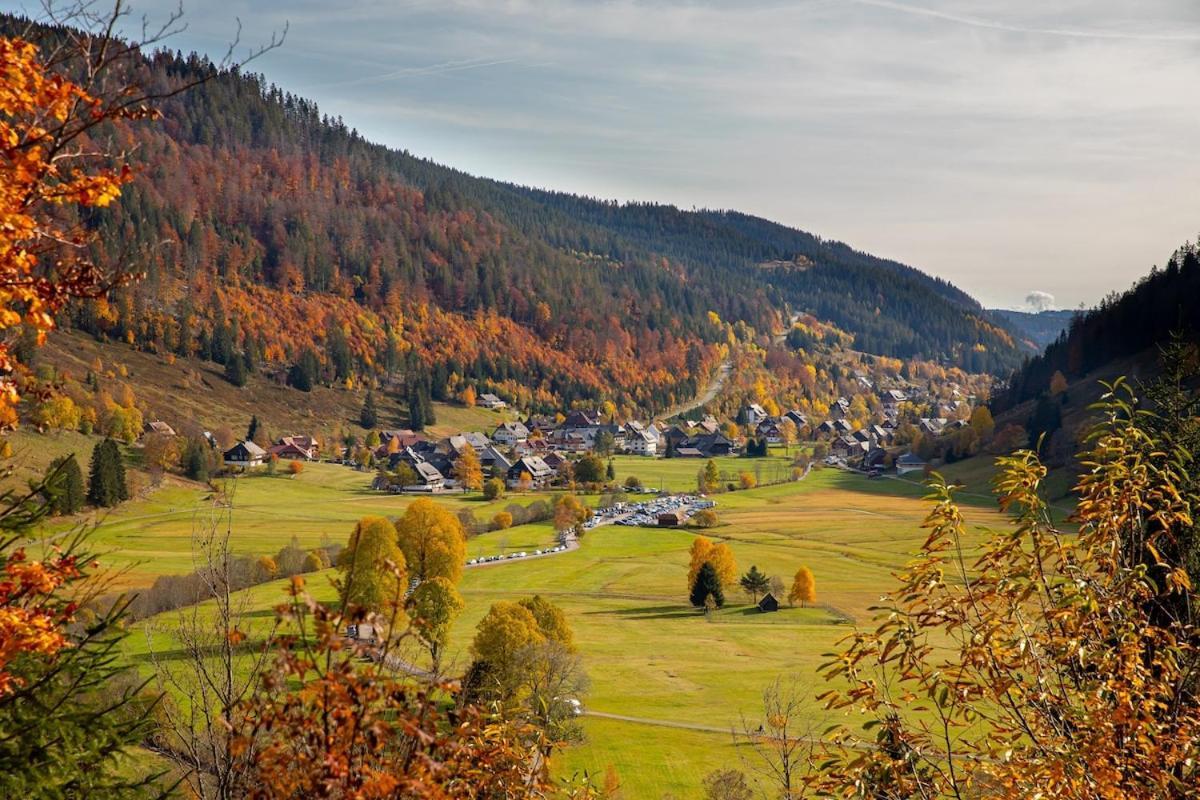 Galeriewohnung In Menzenschwand-Hinterdorf Dış mekan fotoğraf