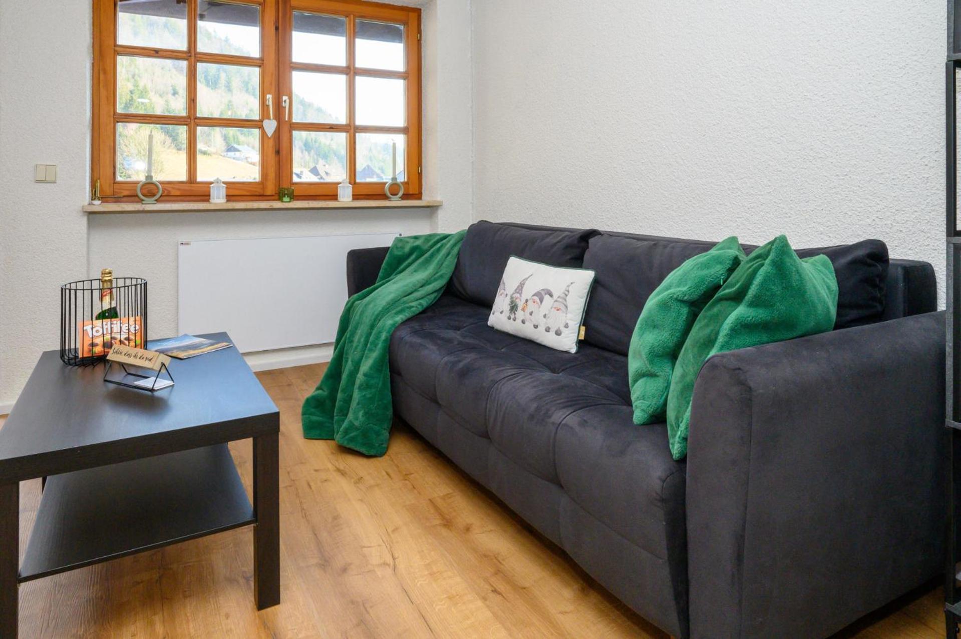 Galeriewohnung In Menzenschwand-Hinterdorf Dış mekan fotoğraf
